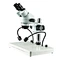 stereo zoom microscope